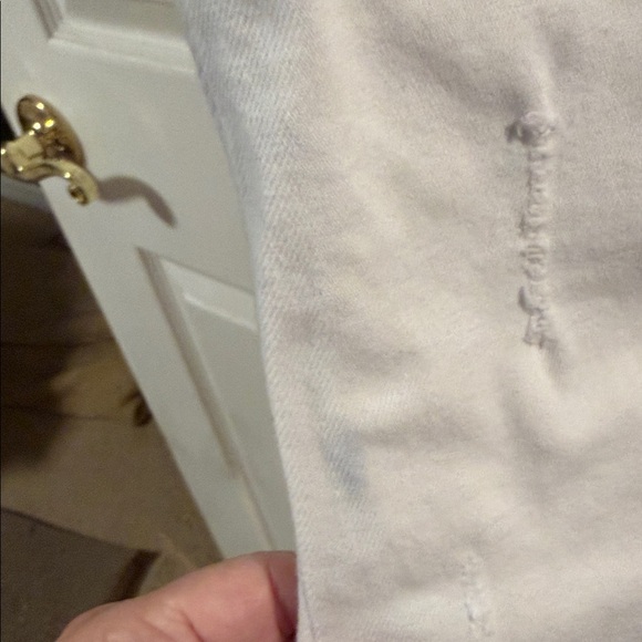 Flying monkey - Picture 3 of 4